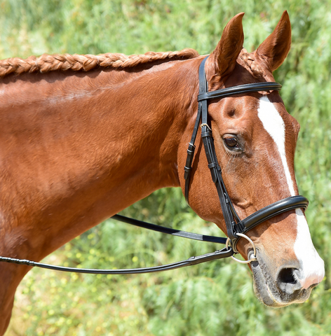 Bobby's Heavy Duty Padded Snaffle Bridle with Stud Hooks and Flash