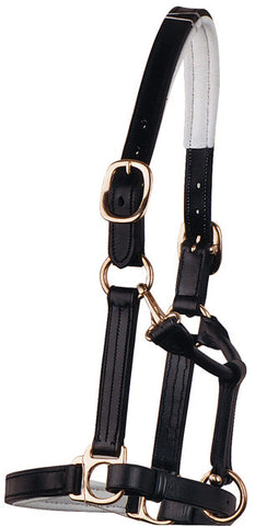 Bobby's Self Padded Lined Leather Halter
